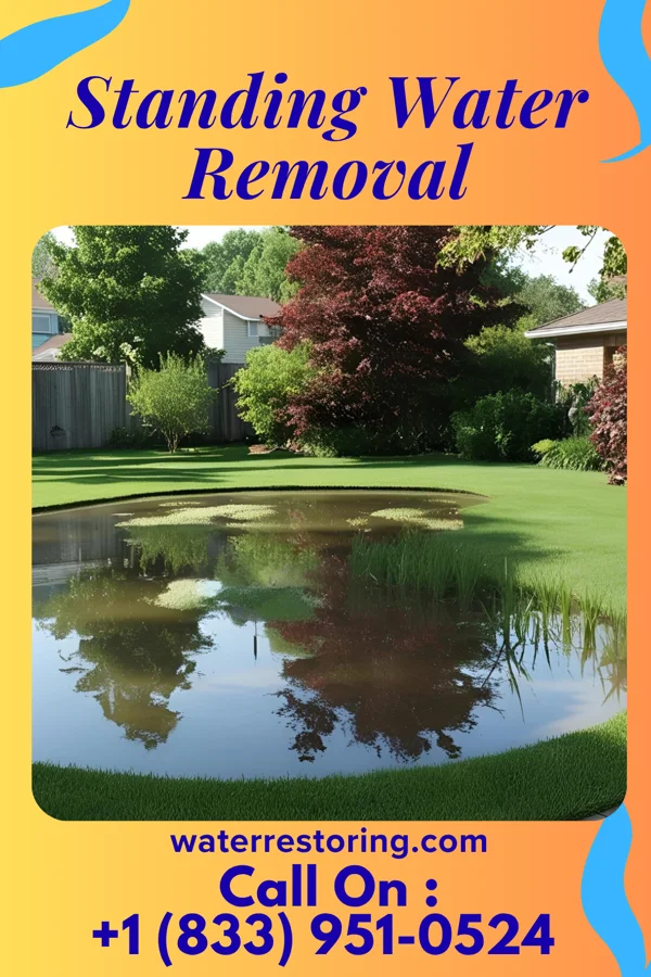 Standing Water Removal in Yorktown, IA
